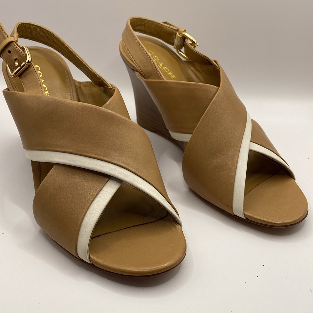 Coach Shoes